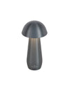 Luminaire extérieur | Modena Anthracite L 16 cm