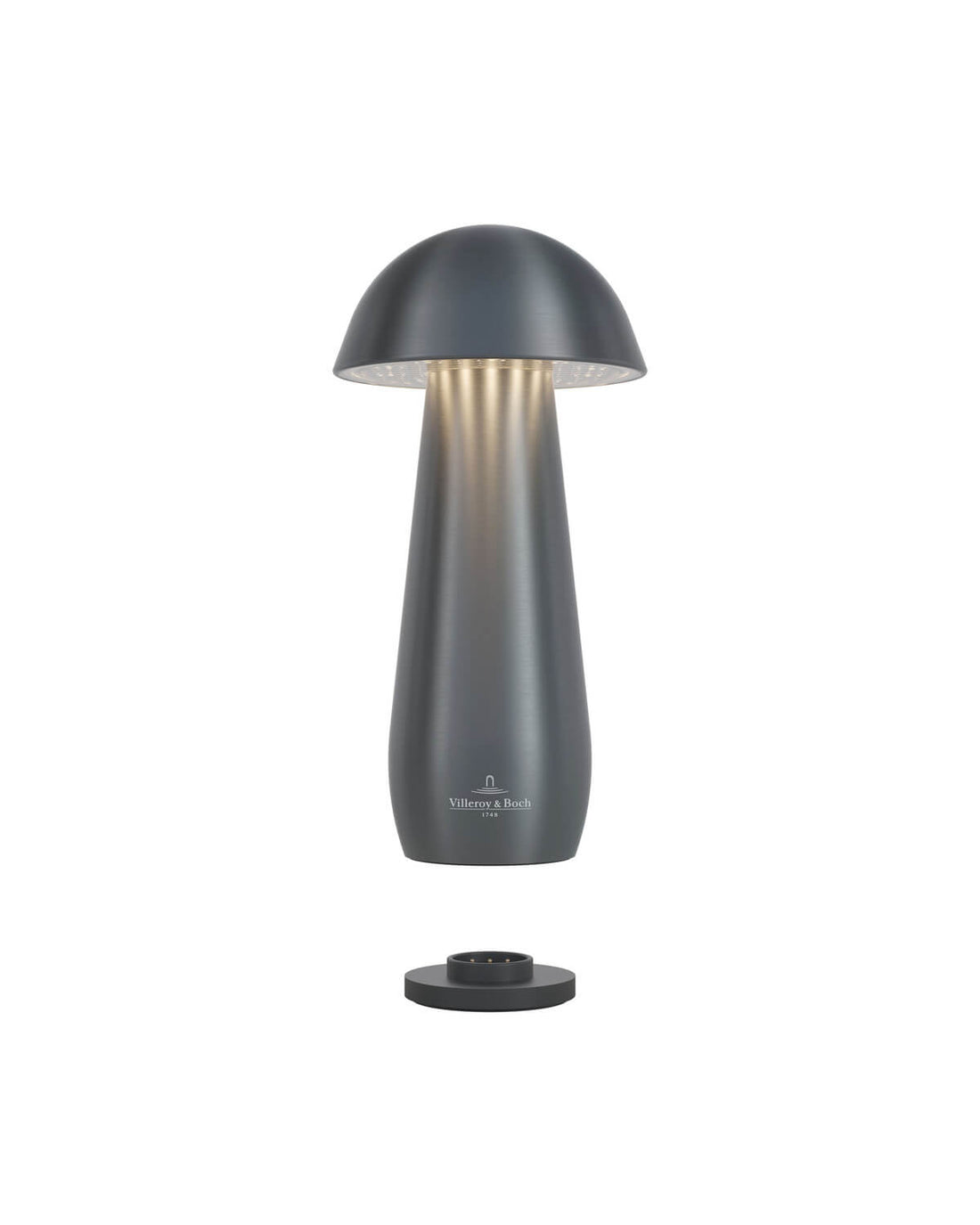 Luminaire extérieur | Modena Anthracite L 16 cm