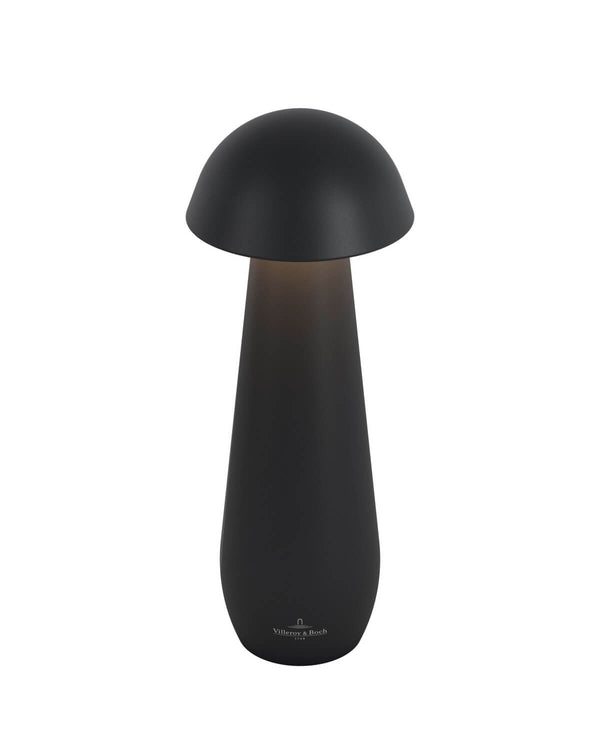 Lampe extérieure Modena noire, L 21 cm (97292)