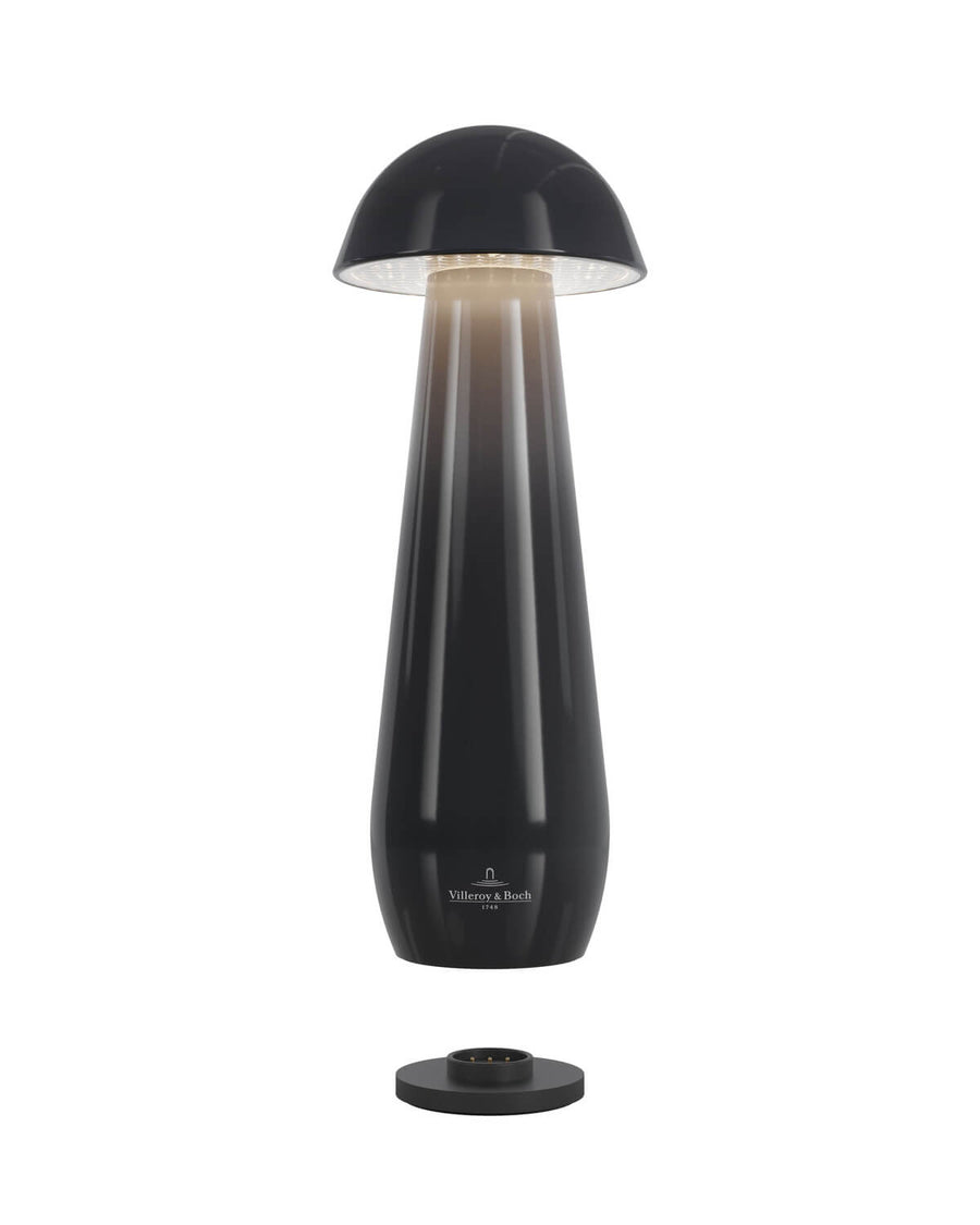 Lampe extérieure Modena noire, L 21 cm (97298)
