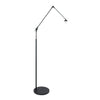Schicke schwarze Stehlampe