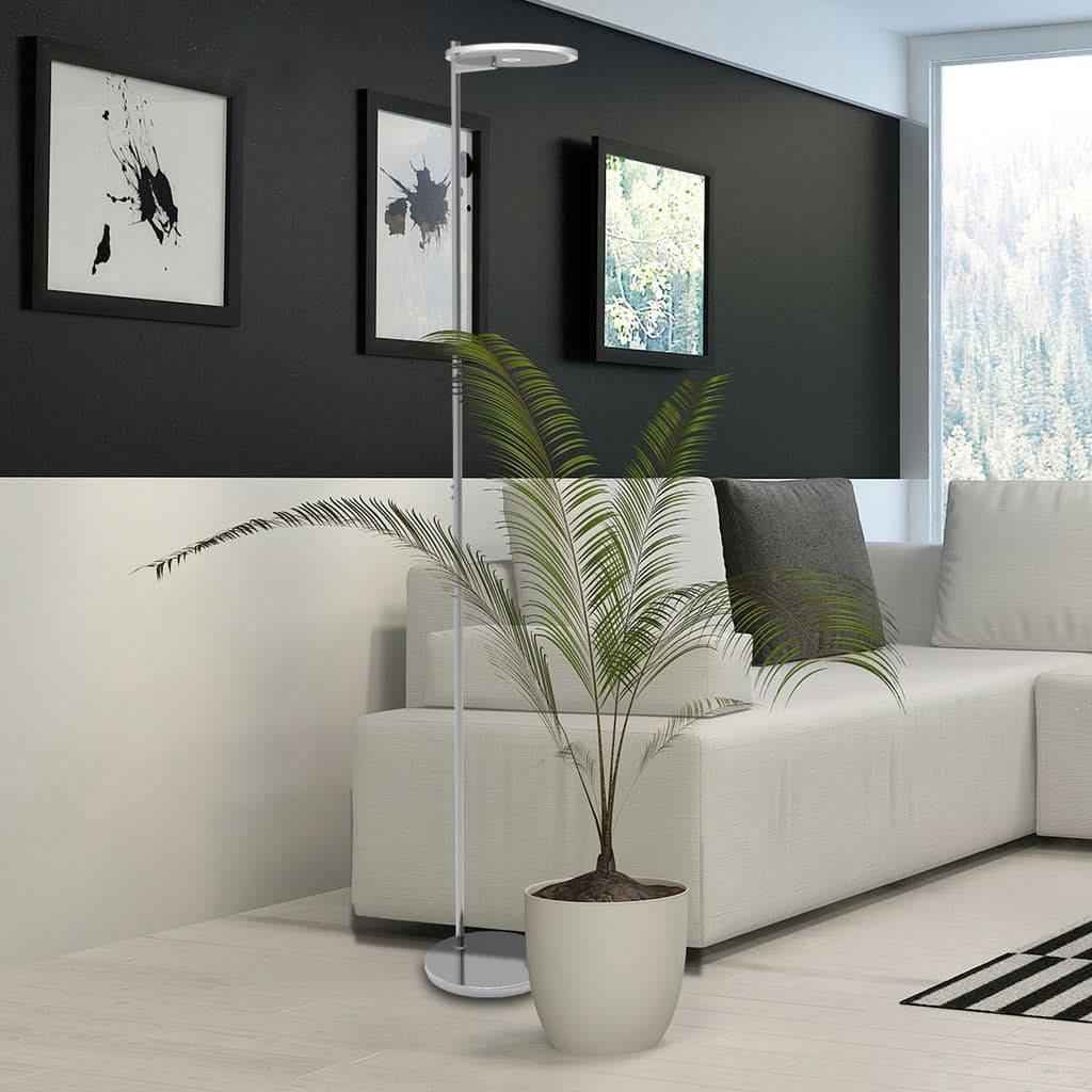 Mise en ambiance dans un salon, canapé blanc, plante verte et cadres muraux