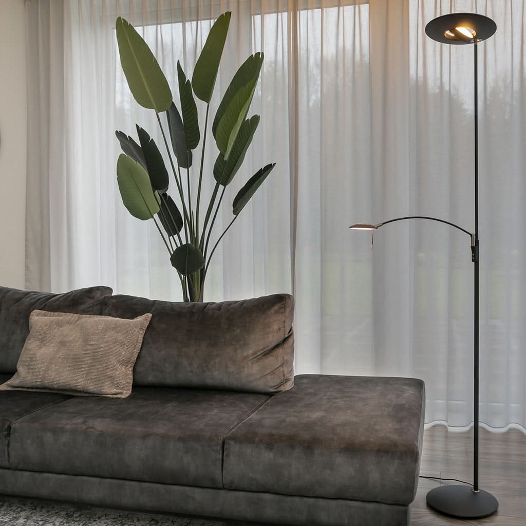 Mise en ambiance salon moderne, canapé en velours, rideaux clairs et grande plante verte.