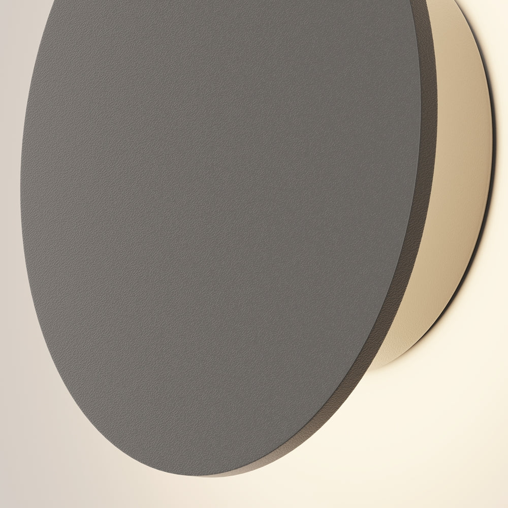 Vue rapprochée du disque gris et de la collerette beige en bordure