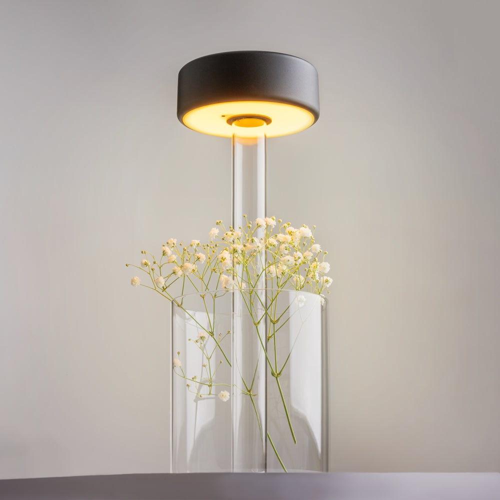 Lampe allumée avec petites fleurs blanches dans le vase en verre transparent.